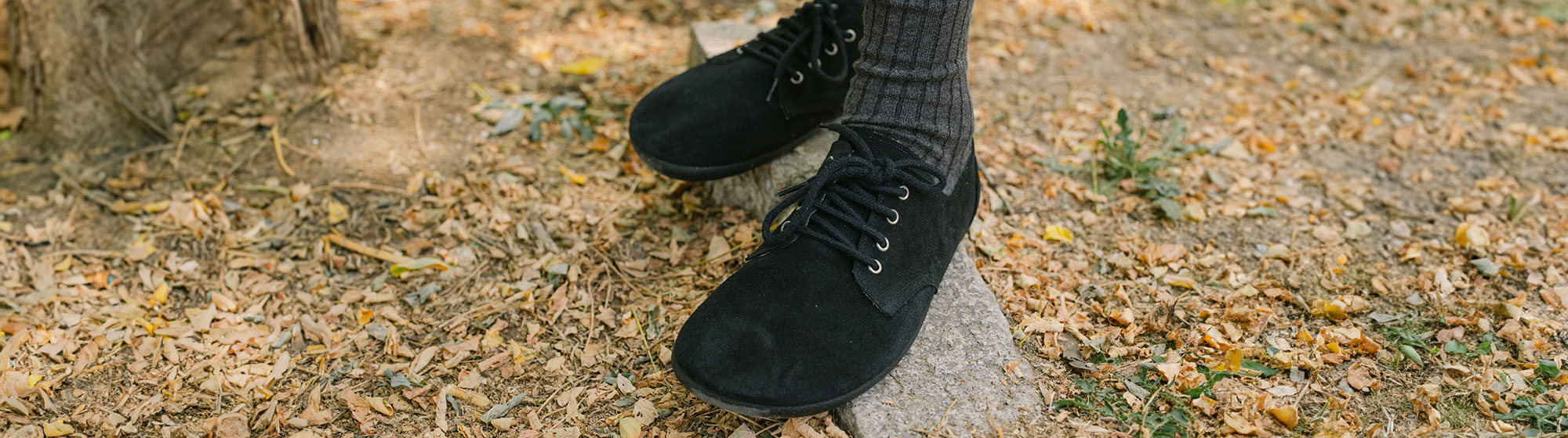Sapatos Blucher