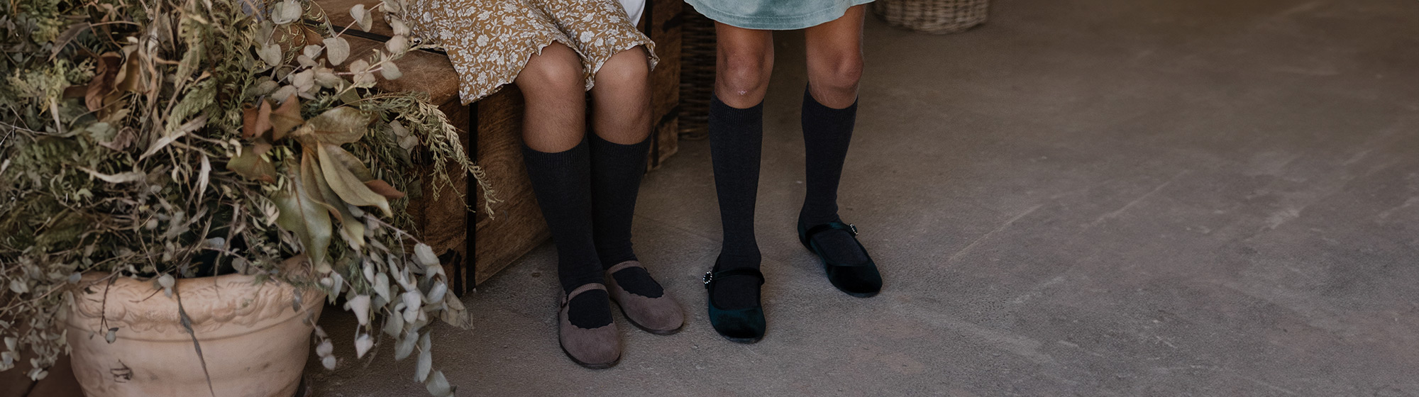Collants e Meias