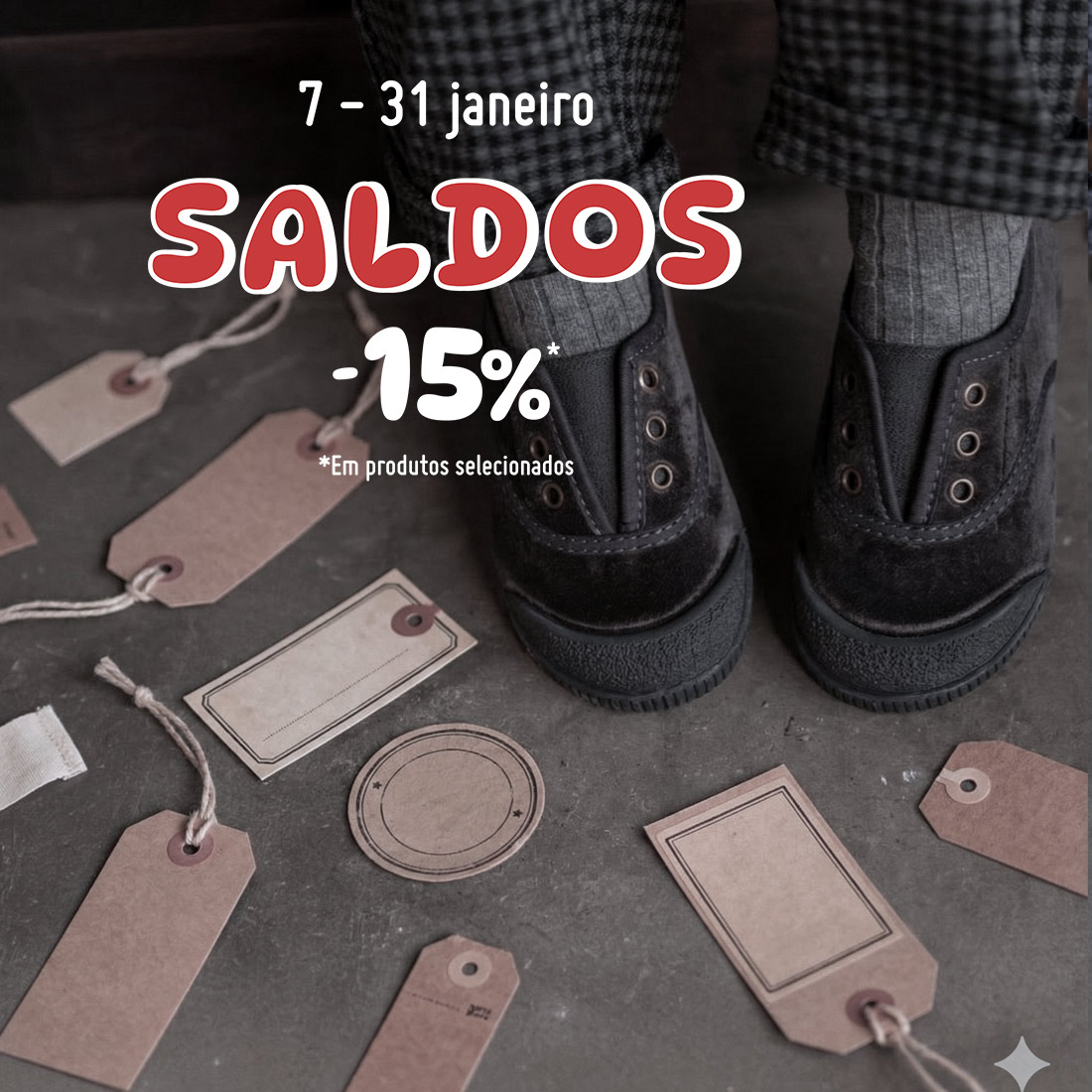 SALDOS DE JANEIRO NA PISAMONAS