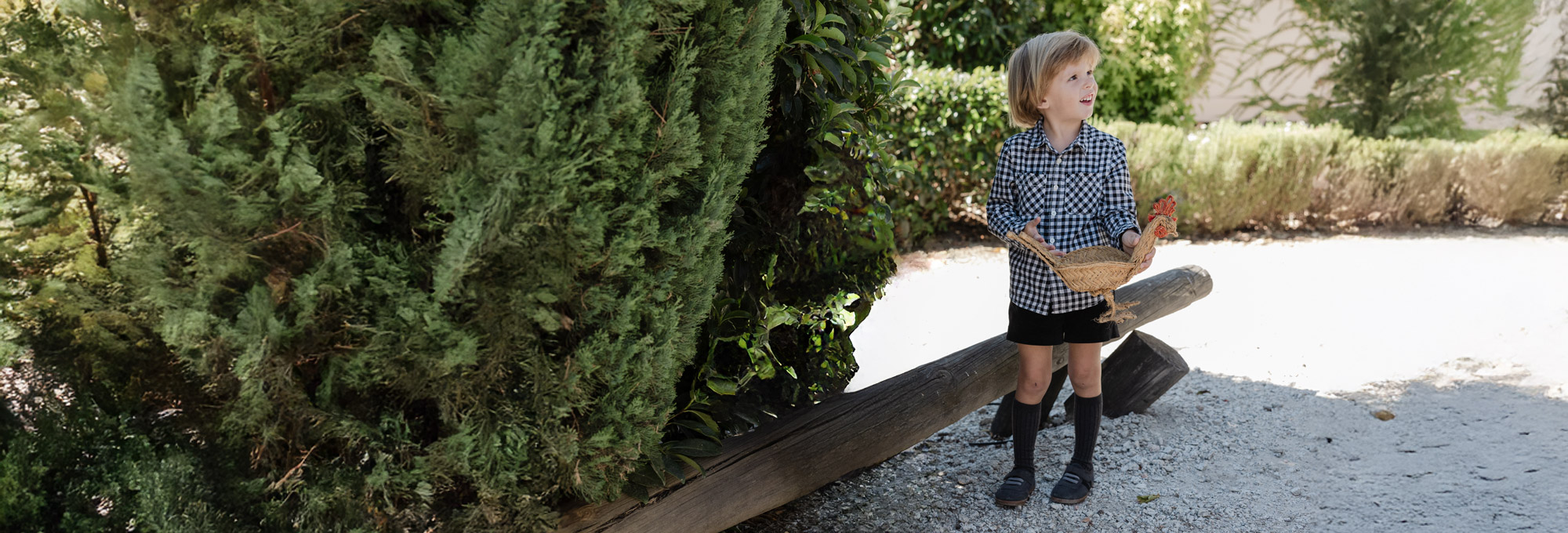  A DESCOBRIR PÁSSAROS 